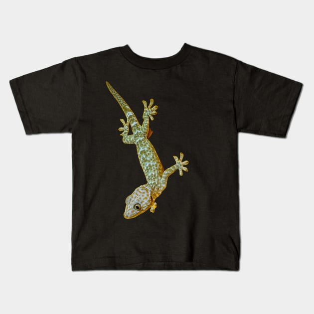 Tokay Gecko Kids T-Shirt by Upbeat Traveler